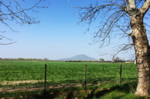 I fondi rustici (e i beni pubblici) vanno affidati con gara.