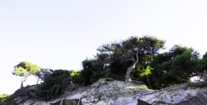 Niente rimborso delle spese legali per omicidio colposo durante un viaggio di servizio Niente rimborso delle spese legali per omicidio colposo durante un viaggio di servizio