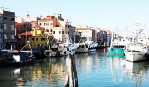Analisi della disciplina sulla inconferibilità/incompatibilità ai fini della nomina regionale di un componente del C.d.a. di un Consorzio di bonifica (ente pubblico economico)