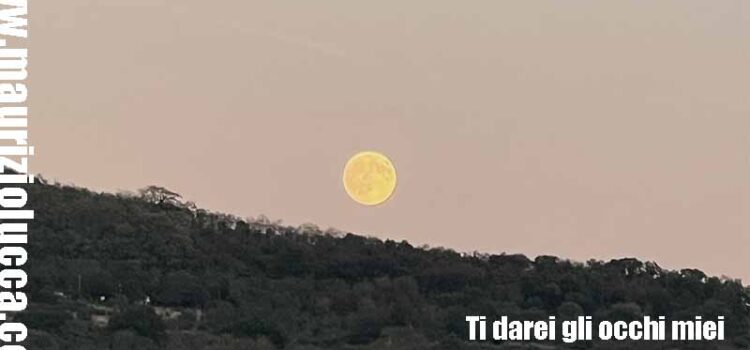 Il trattamento sanitario obbligatorio esige contraddittorio legale