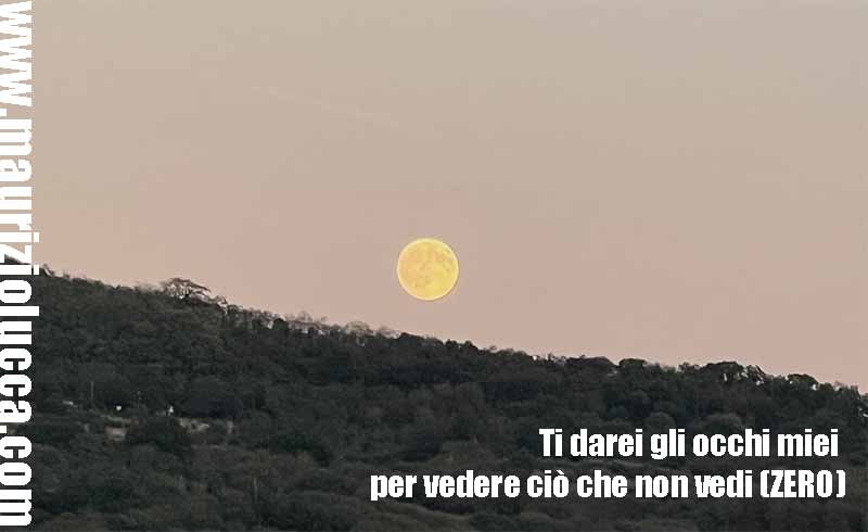 Il trattamento sanitario obbligatorio esige contraddittorio legale Il trattamento sanitario obbligatorio esige contraddittorio legale